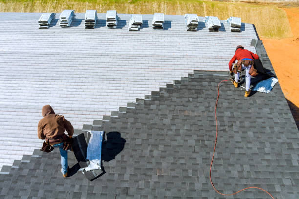 Roof Gutter Cleaning in Humboldt, TN
