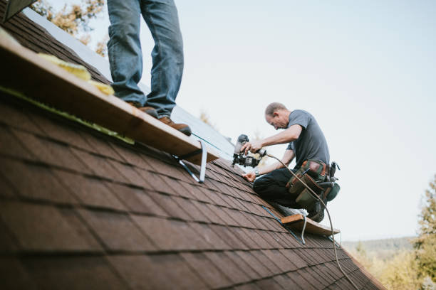 Quick and Trustworthy Emergency Roof Repair Services in Humboldt, TN